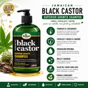 Jamaican Black Castor Shampoo 12 oz