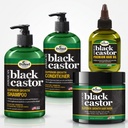 Jamaican Black Castor Superior Growth Linea de 4 Pasos