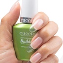 BUILDER BRUSH ON 13ml