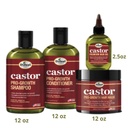 Castor Pro-Growth Sha12 + Cond12 + Oil + Mask Kit
