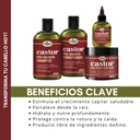 Castor Pro-Growth Línea Completa de Crecimiento con Aceite de Ricino