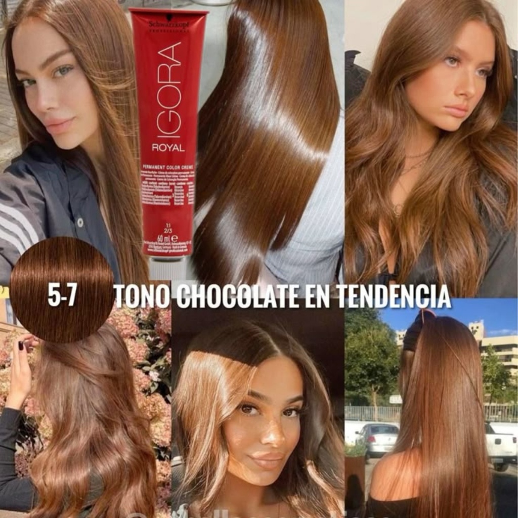 Tinte Igora Royal  5-7 (Chocolate) 60ML