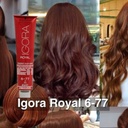 Tinte Igora Royal  6-77 60ML