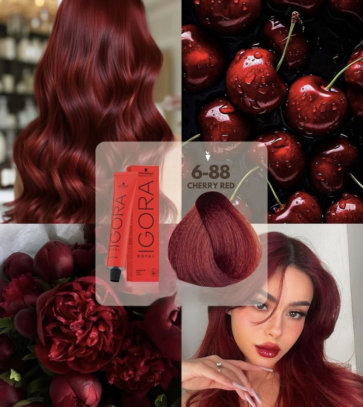 Tinte Igora Royal  6-88 60ML