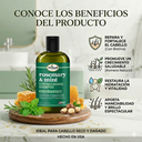 Rosemary Mint Strengthening Shampoo 12 oz