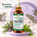 Rosemary & Mint Follicle Boost Scalp Serum 4 oz.