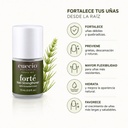 Forte Nail Strengthener 15 mL