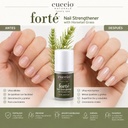Forte Nail Strengthener 15 mL