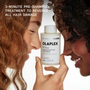 Nº 3+ Olaplex Hair Protector Plus 100ml