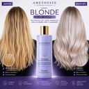 Amethyste Blonde Cool Silver Shampoo 250ml