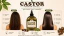 Castor Premium Hair 210ml