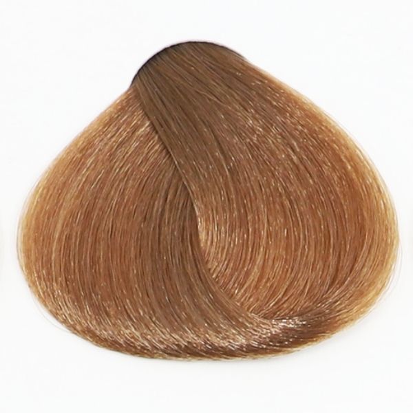 TINTE FANOLA 8.13 100ML CENIZA DORADO