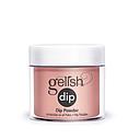 GEL DIP 23G YOUNG WILD FREE