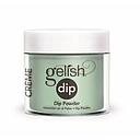 GEL DIP MINT CHOCOLATE CHIP 23GR