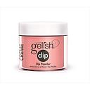 GEL DIP MANGA-ROUND WITH ME 23GR