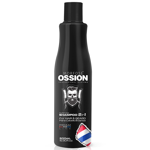 HAIR PURIFYING SHAMPOO 2 EN 1 500ML