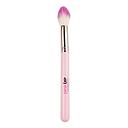BROCHA IND PRO. ILUMINADOR Y RUBOR, HIGHLIGHTER AND BLUSH 13