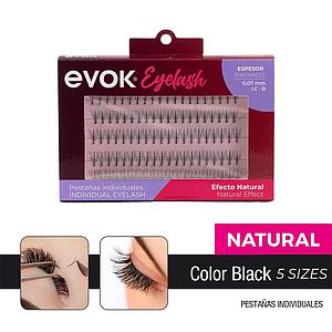 PESTAÑAS INDIVIDUALES EVOK