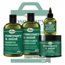 Rosemary Mint Linea de Crecimiento Romero y Menta