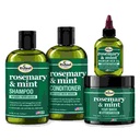 Rosemary Mint Linea de Crecimiento Romero y Menta