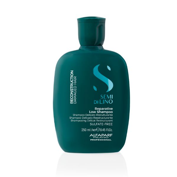 RECONSTRUCTION SHAMPOO LOW 250 ML 2024