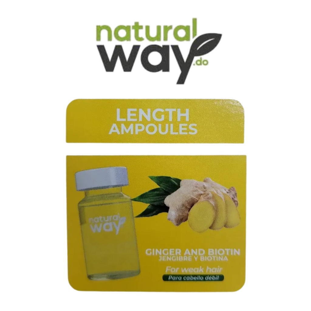 AMPOLLA DE JENGIBRE 12ml