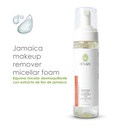 Espuma Micelar Desmaquillante Flor de Jamaica