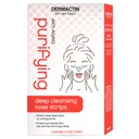 AntiAgin Tiras puntos negros nasal 6pza