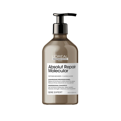 [01-E4034100] ABS Repair Molecular Shampoo 500ml