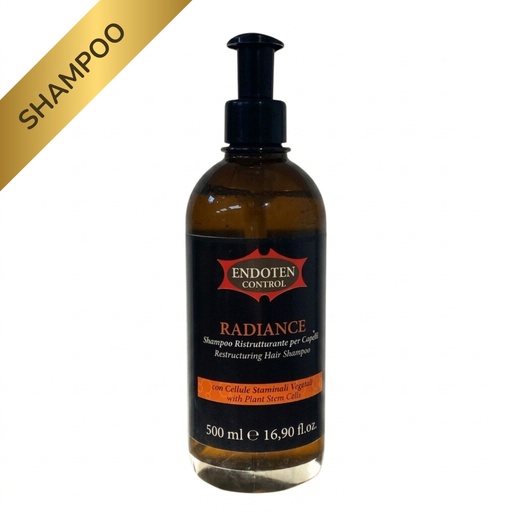[1161] Endoten Control Radiance Shampoo 500ml