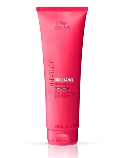 [WE669] BRILLIANCE CONDITION 250ML