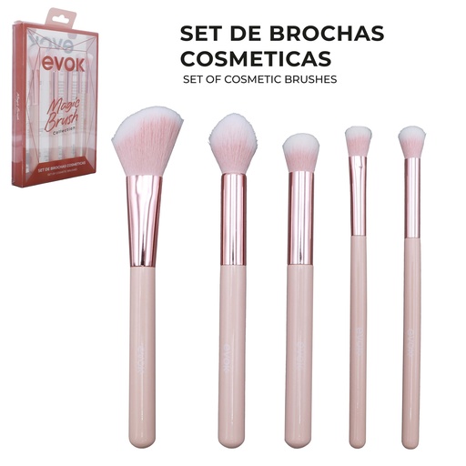 [EV-ZR2442] SET DE BROCHAS