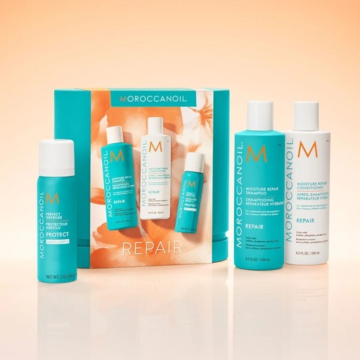 [5937] SPRING SETS REPAIR